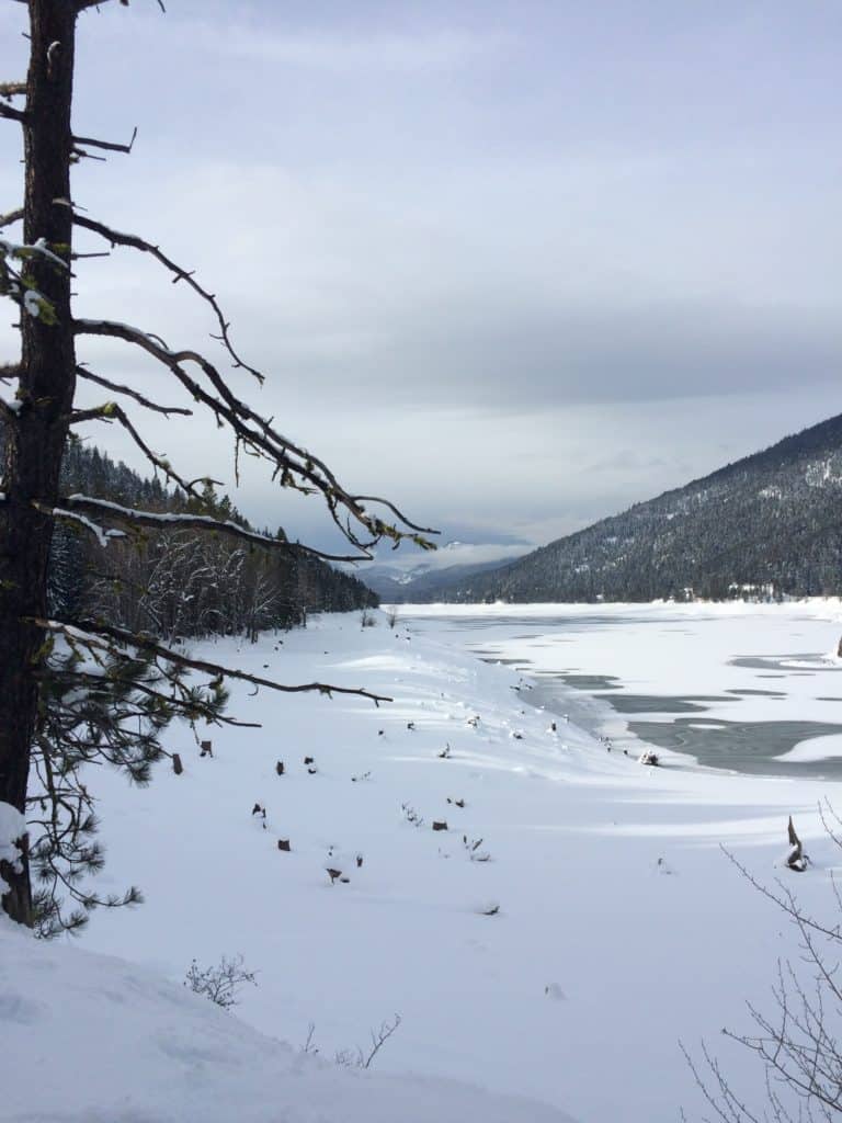 Snow Hiking withType 1 Diabetes