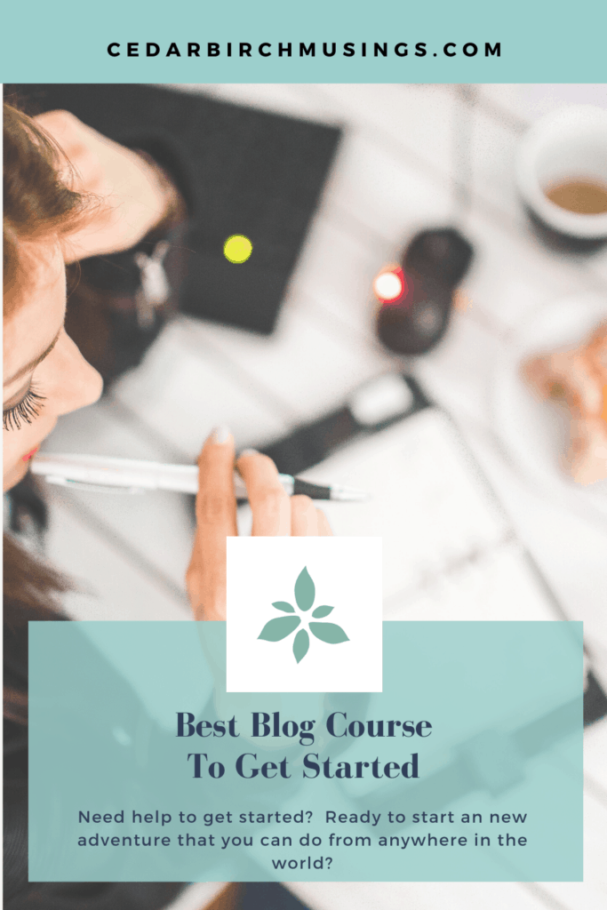 Best Blog Course For beginners pin