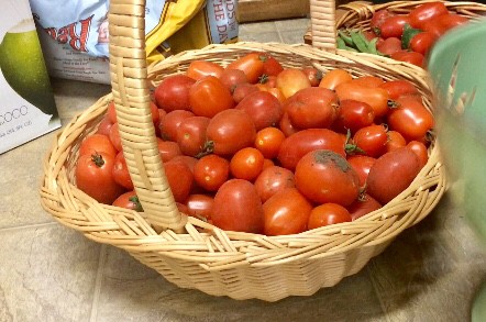 Basket of tomatoes for canning tomatoes without a pressure canner