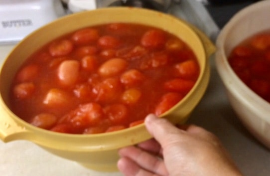 Bowls of tomatoes