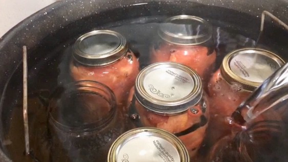 Covering jars of tomatoes in the hot water bath