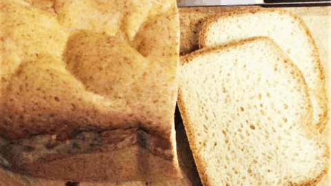 Grain Free Bread Machine Recipe