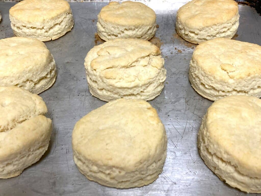 round biscuits on a pan