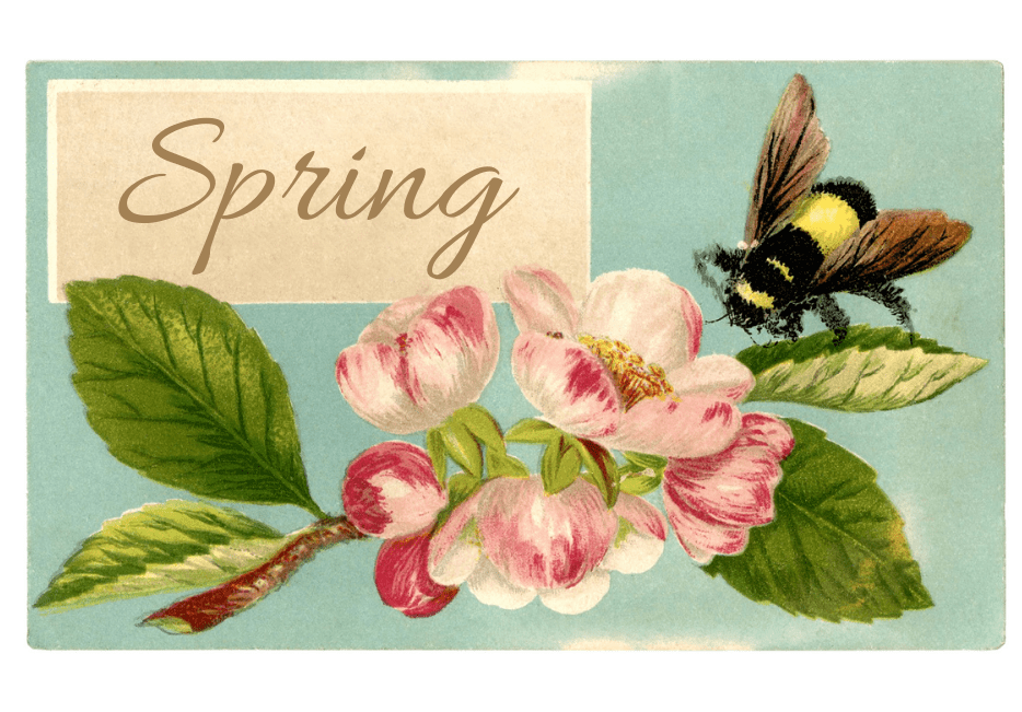 Vintage spring postcard