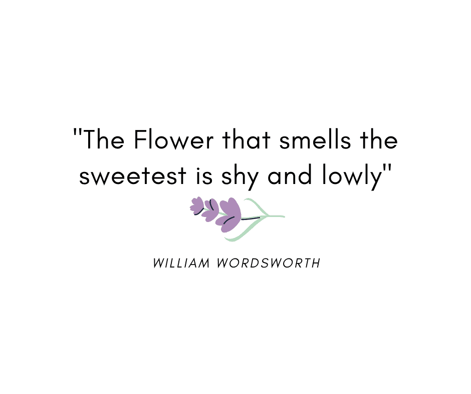 The Flower that smells the sweetest is the shy and lowly by William Wardsworth