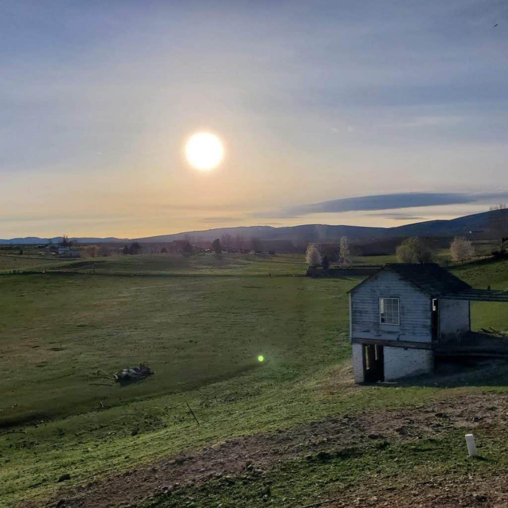 Out on the farm vista