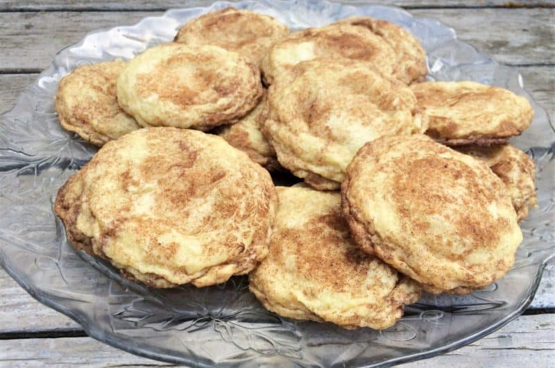 Yummy Snickerdoodles | Gluten Free, Dairy Free