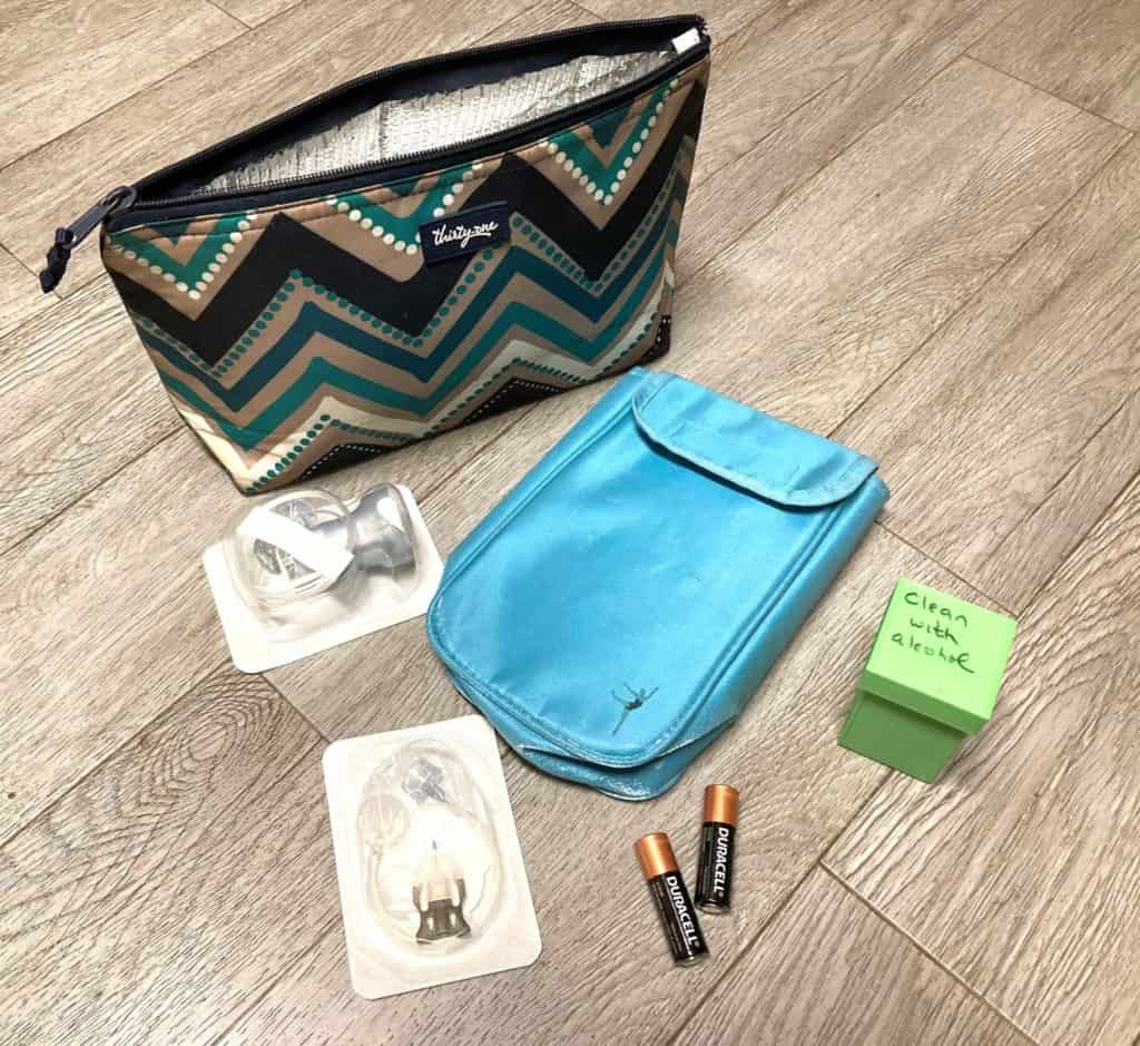 insulated tote for day use extras