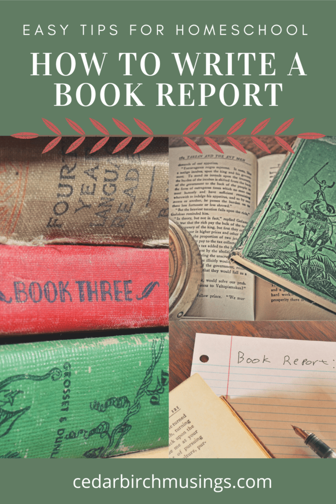 Easy Tips for Homeschool:  How to write a book report pin