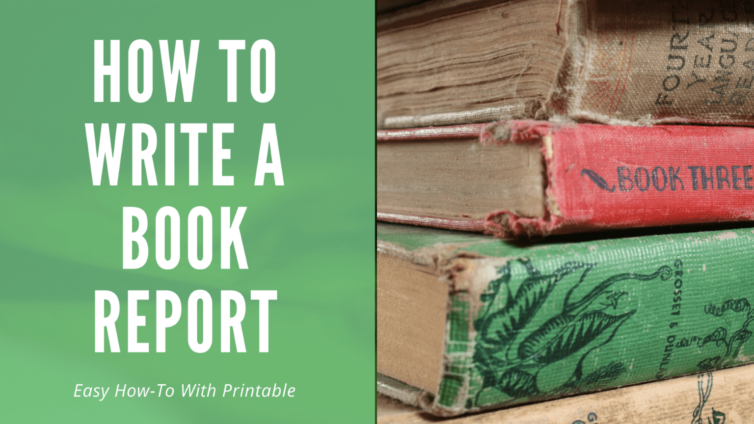 Homeschool Tips How To Write A Book Report Cedarbirch Musings