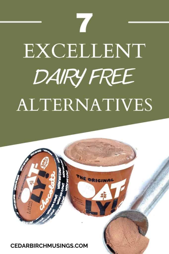 Dairy free ice cream and title