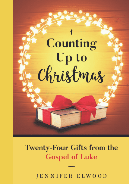 Countingup to Christmas book cover