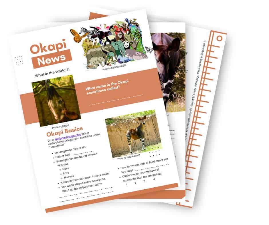 okapi animal study sample