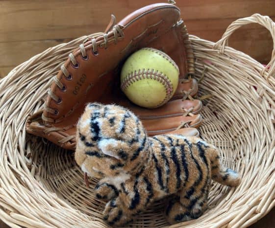 baseball glove with ball for predictive skill