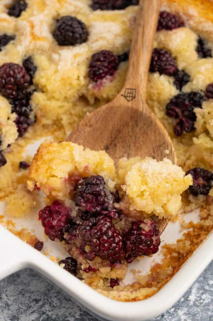 Blackberry cobbler with spoon