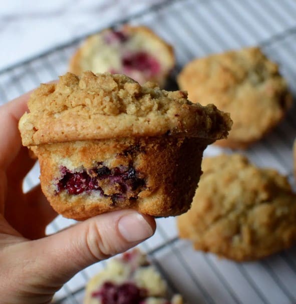 Blackberry muffin close up