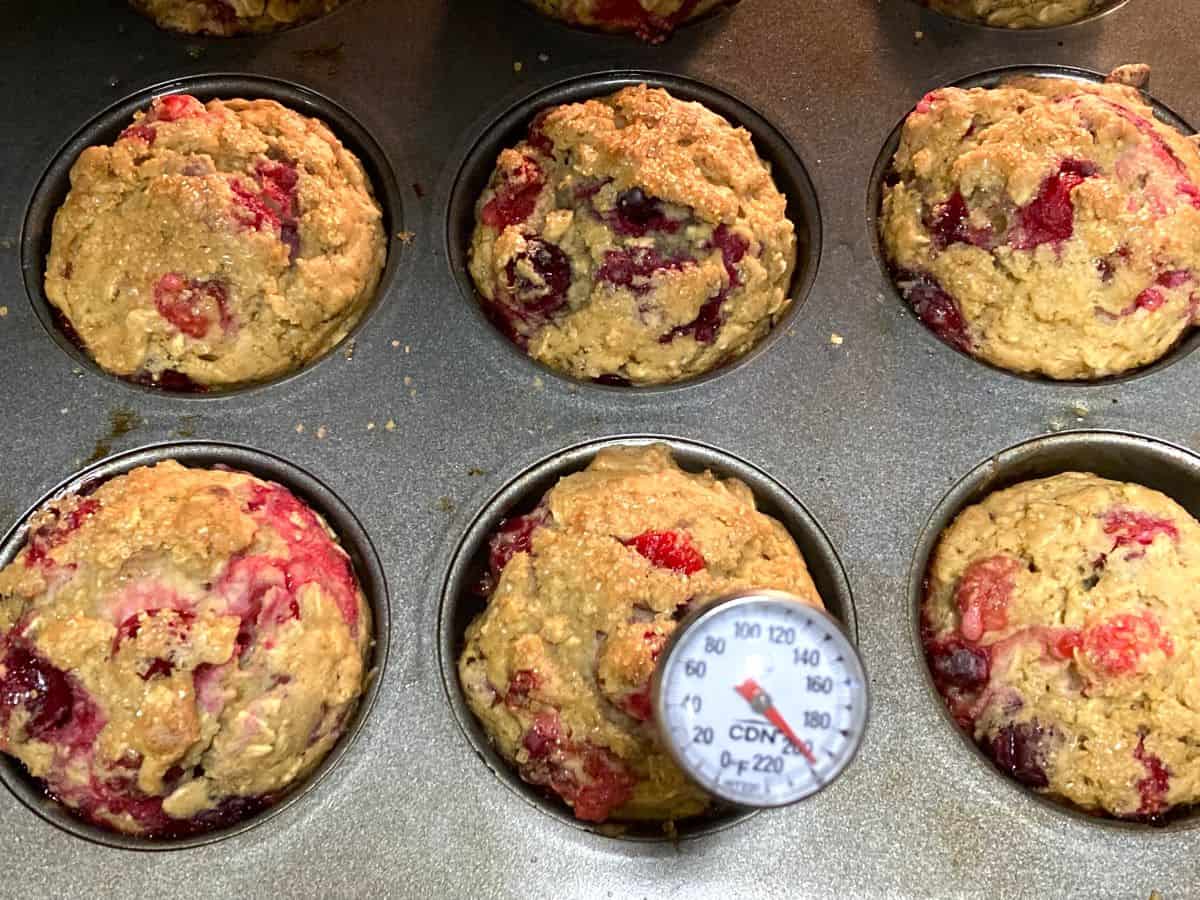 Oatmeal Cranberry Muffins: Gluten Free, Dairy Free, Low Sugar