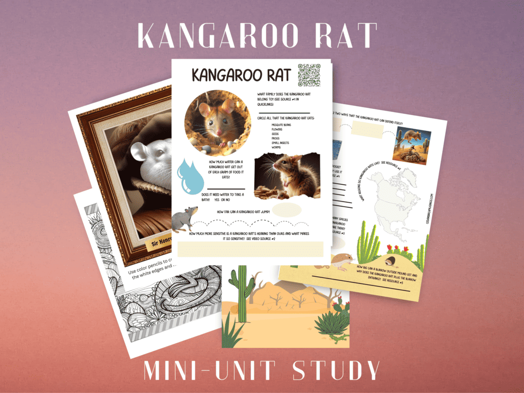 Kangaroo Rat Unit Study