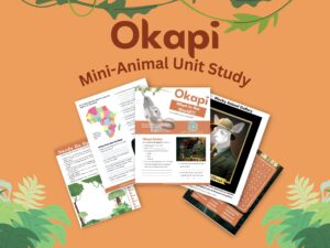 Okapi unit study