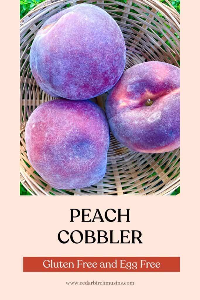 Ripe peaches for cobbler pin