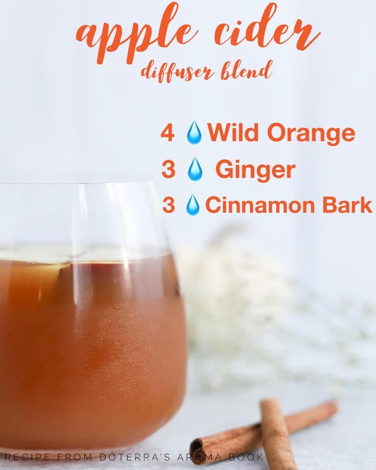 apple cider drink