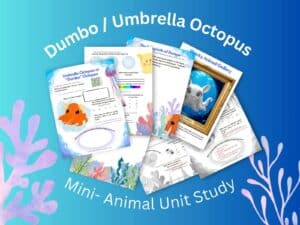 Dumbo Octopus unit study