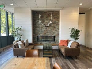 couches in front of fireplace