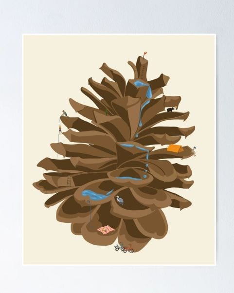 ponderosa pinecone
